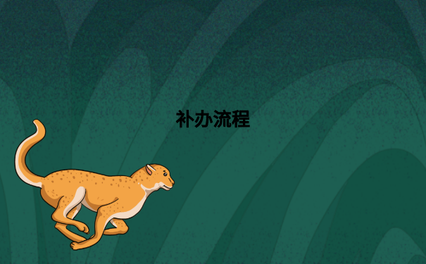 补办流程